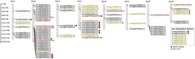 Understanding the defense mechanism of Allium plants through the onion isoallicin-omics study